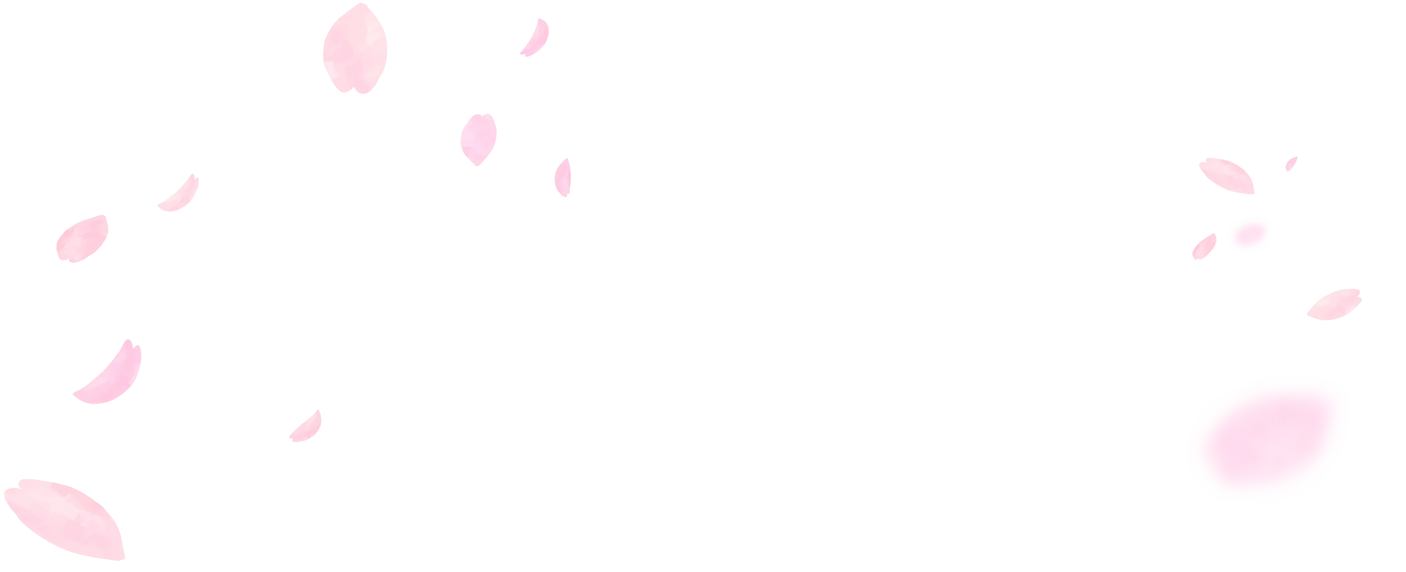 桜の花びらの背景画像2