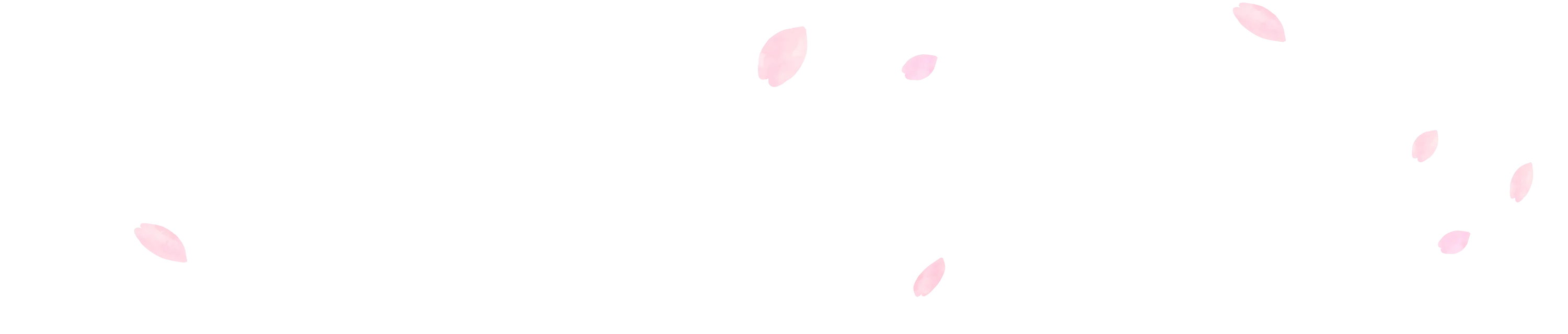 桜の花びらの背景画像1