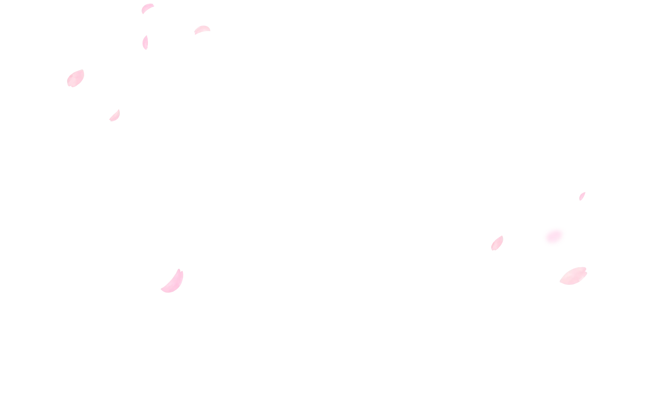 桜の花びらの背景画像1