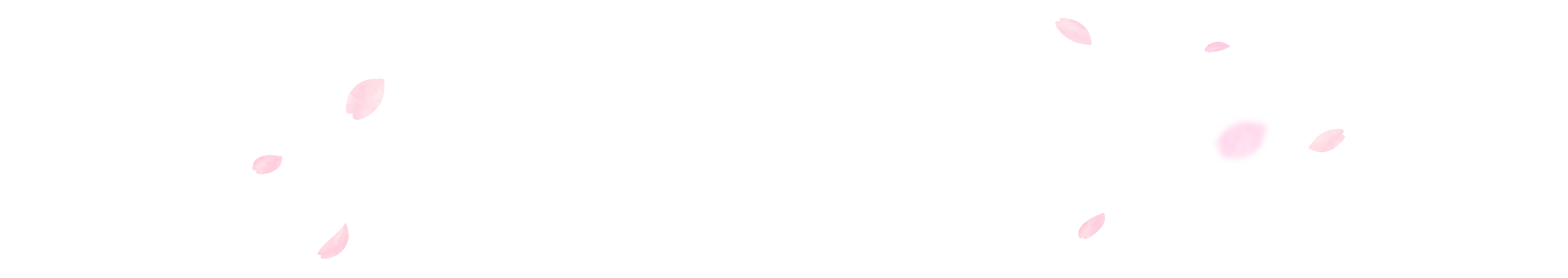 桜の花びらの背景画像