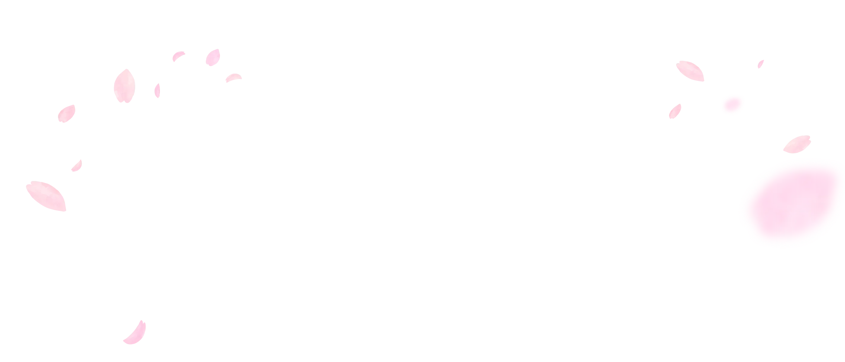 桜の花びらの背景画像