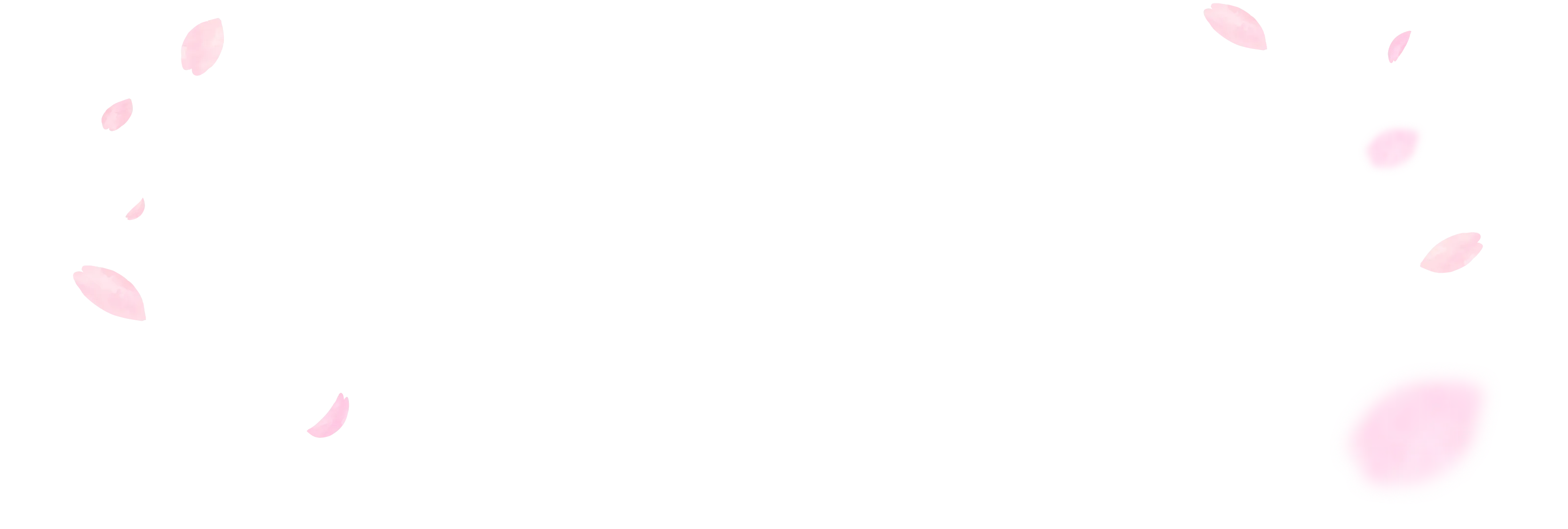 桜の花びらの背景画像