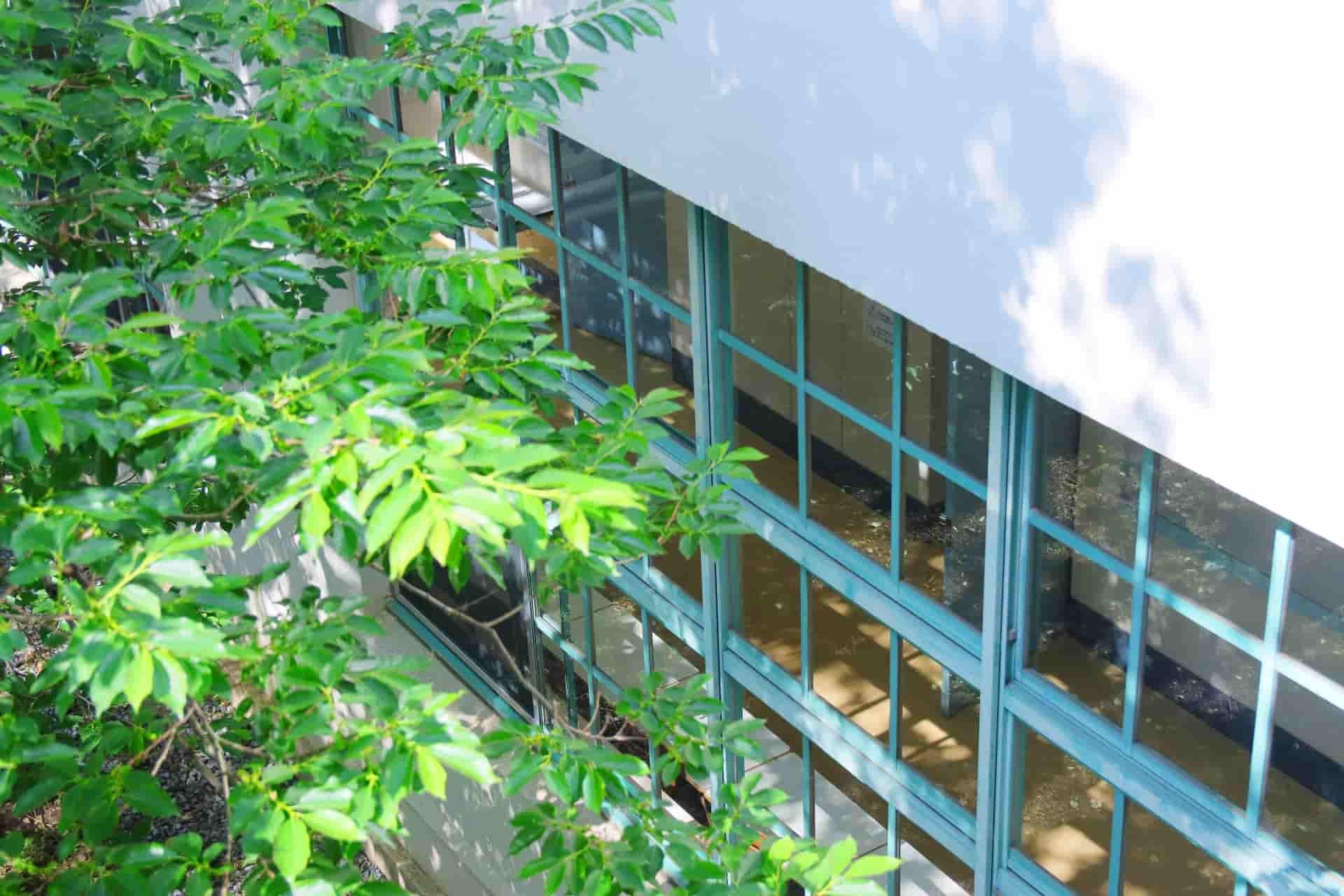 埼玉県立越谷北高等学校の県内屈指の偏差値！活気あふれる進学校！