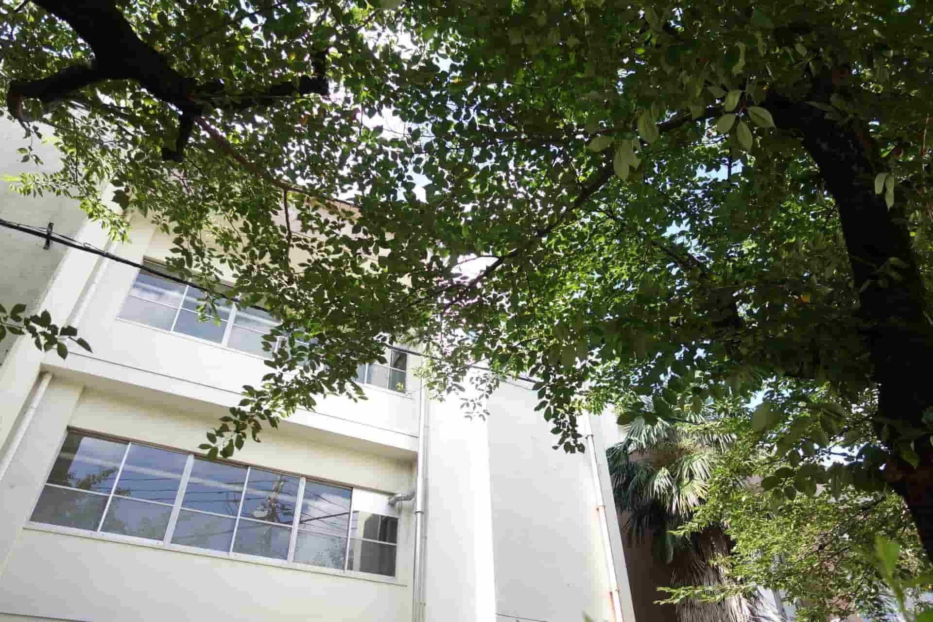 栃木県立石橋高等学校の県内屈指の偏差値！自主性を育む文武両道の進学校！