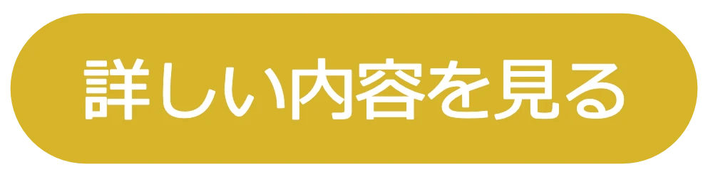 詳しい内容を見る
